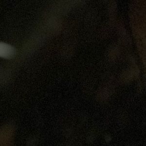 Meet your Posher, Gavin